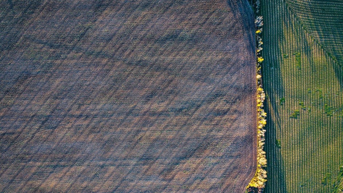 aerial view of empty crop field