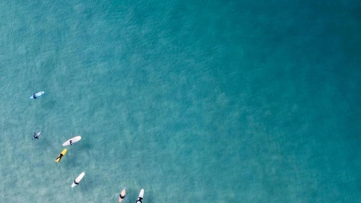 aerial view of surfers waiting in the ocean