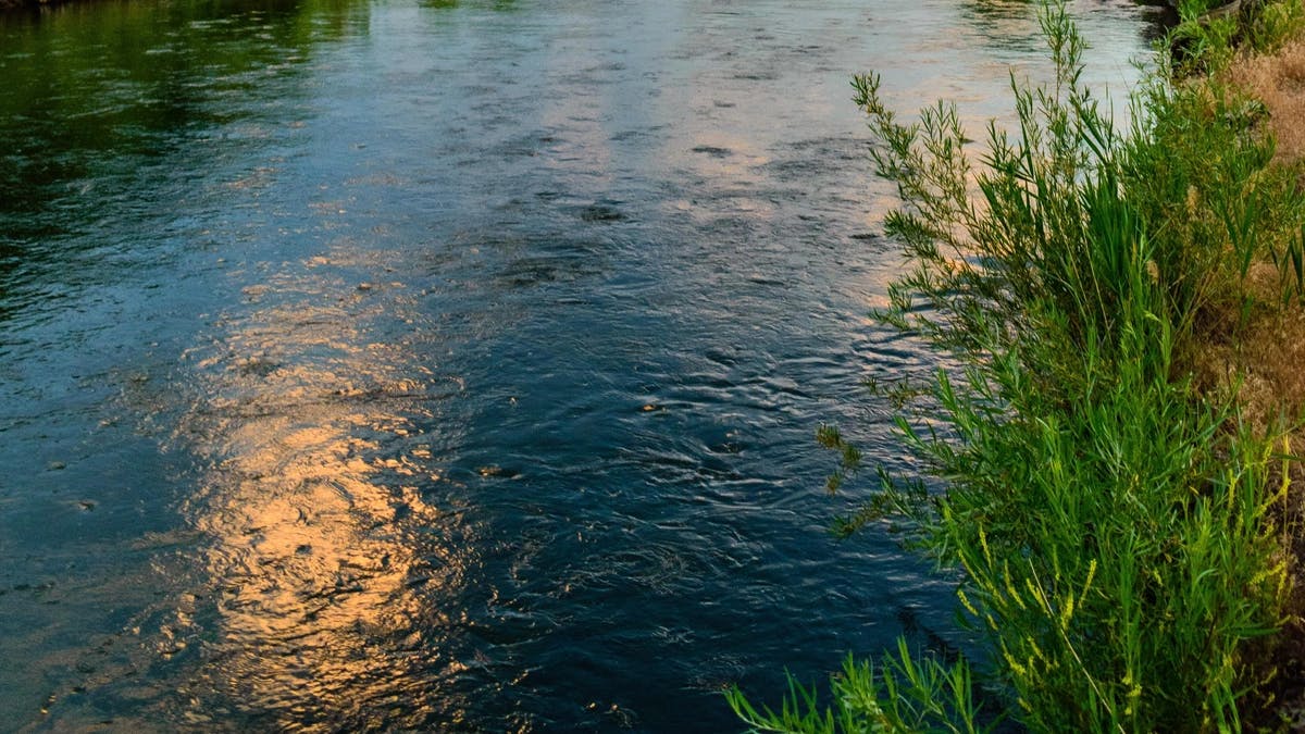 the reflection of a sunset on water by a grassy edge of a bank